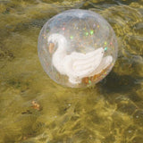 Beach Ball - Swan