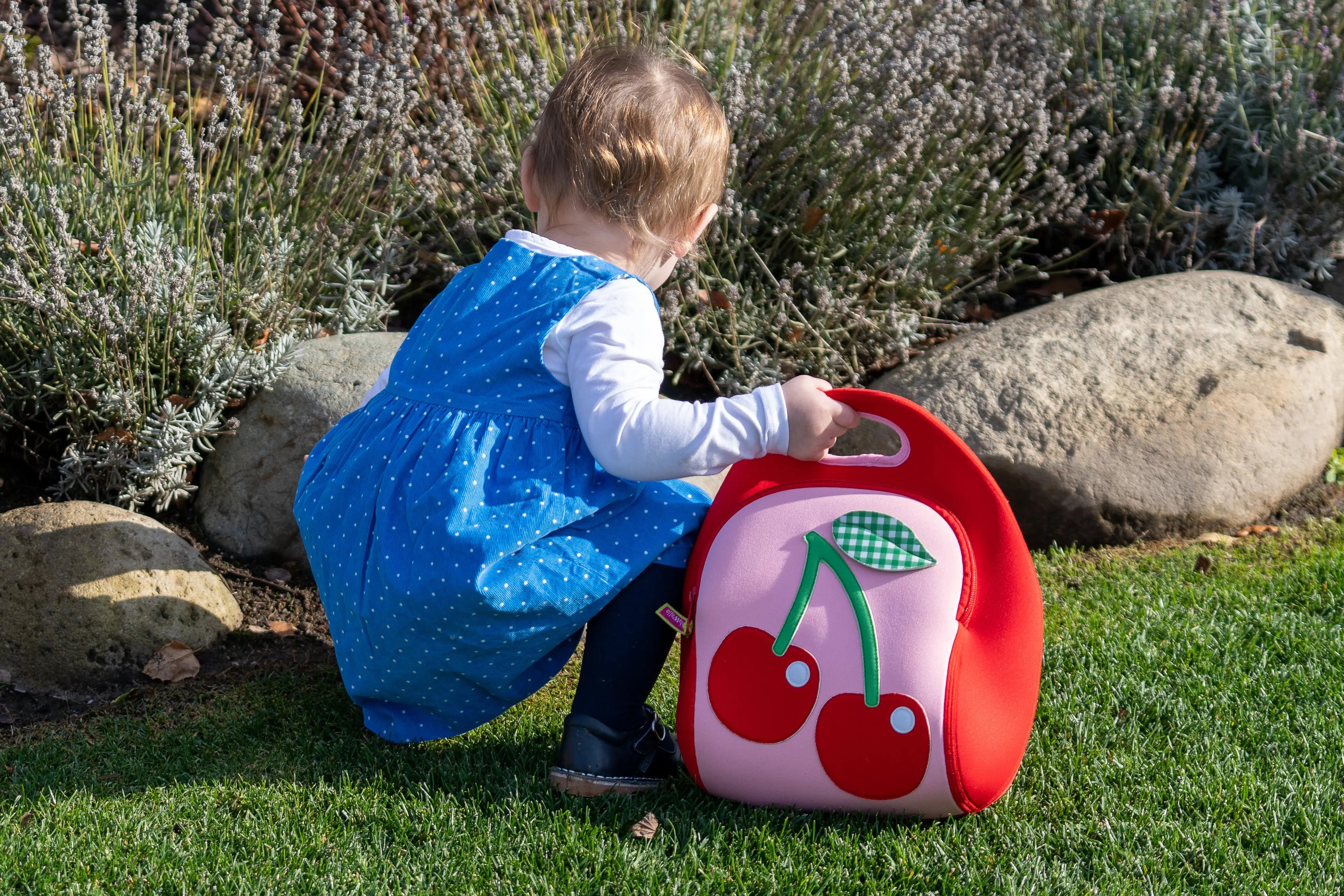 Cherry Lunch Bag - Red, Insulated Neoprene Lunch Tote, Cute Food Container Holder Lunch Bag Dabbawalla   