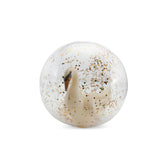 Beach Ball - Swan