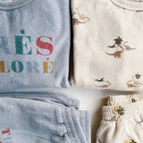 Itty Kids Sweat Shirt Gots - Dinasour Konges Sløjd