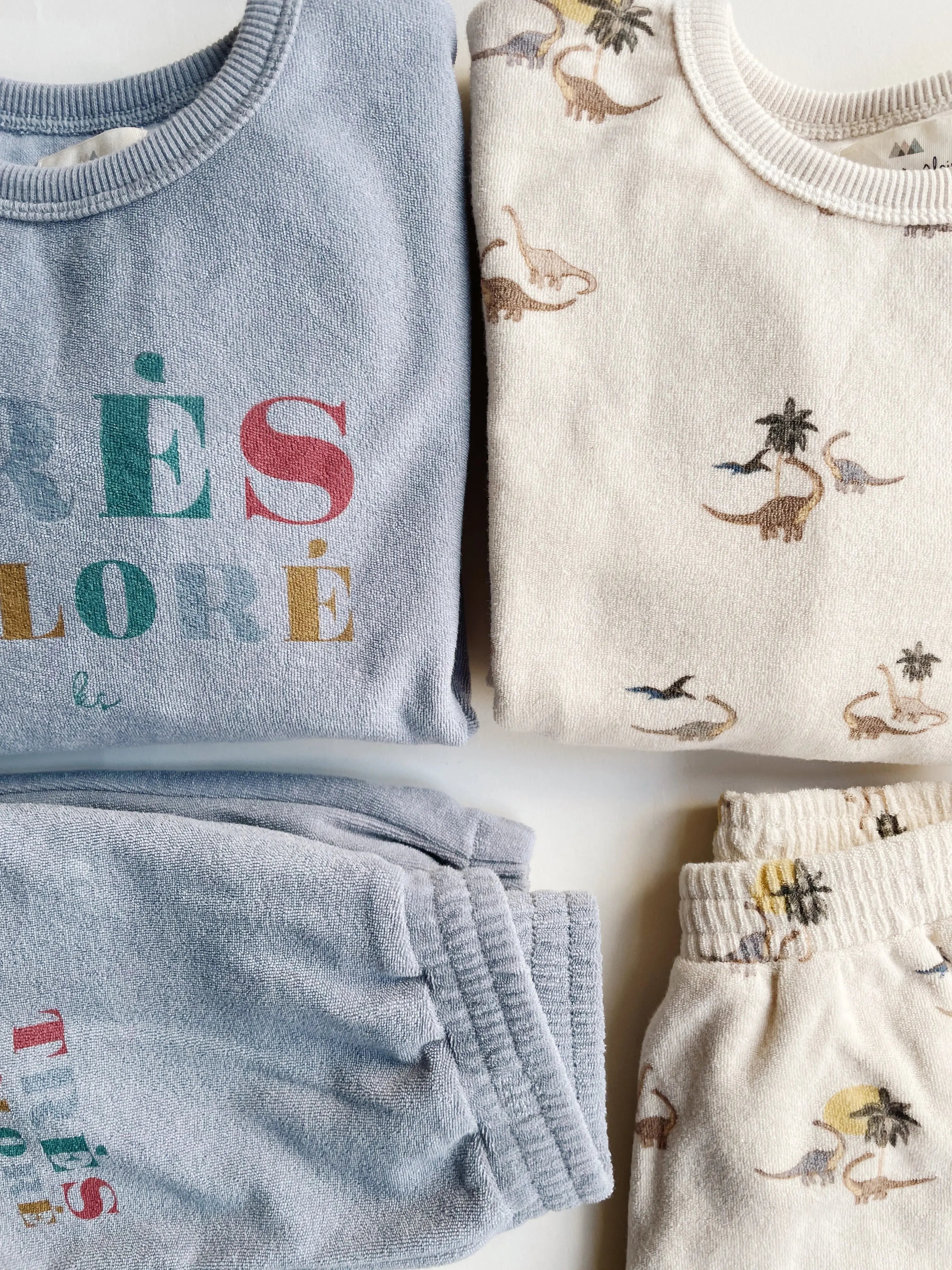 Itty Kids Sweat Shirt Gots - Dinasour Konges Sløjd