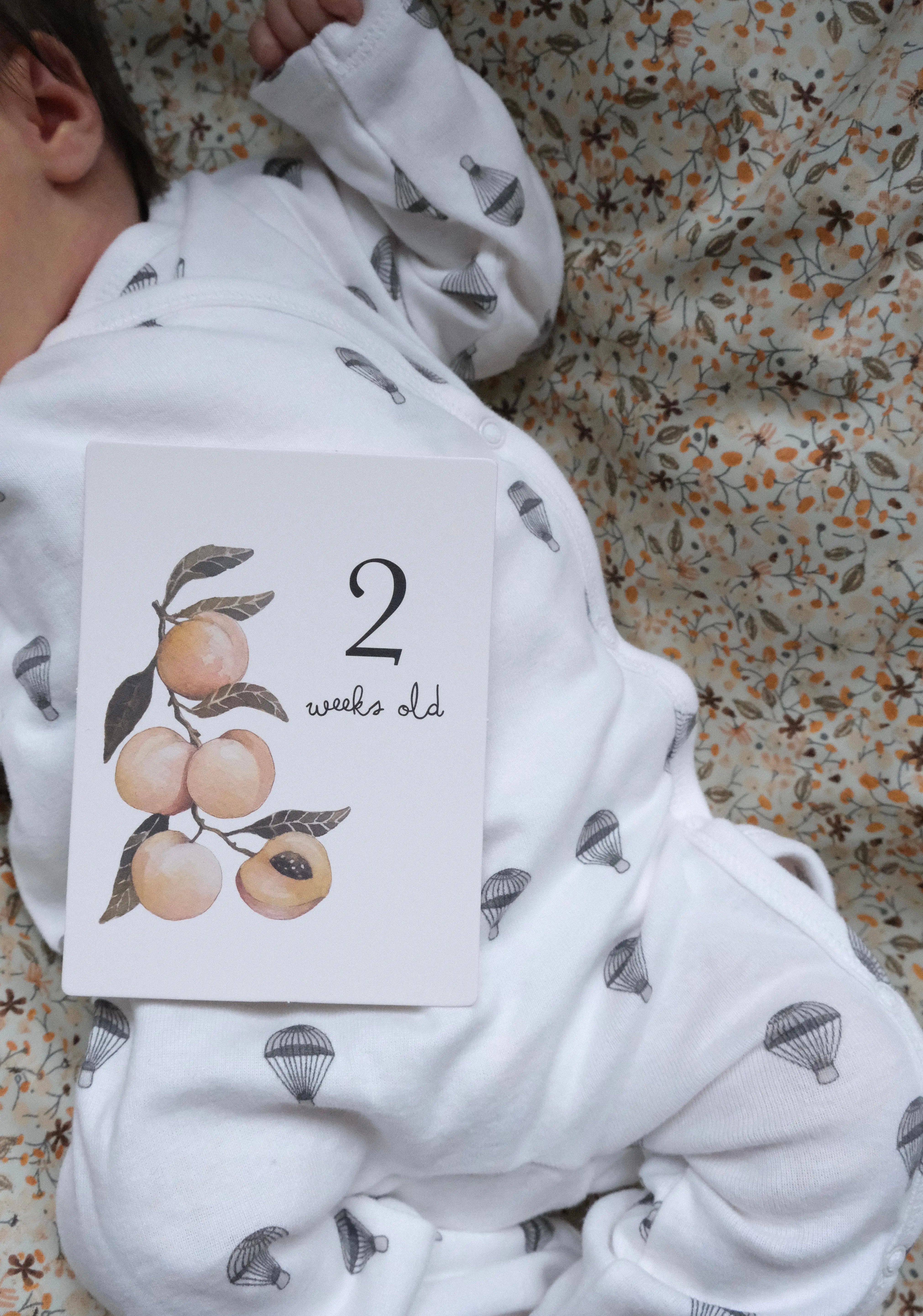 Milestones  Konges Sløjd   