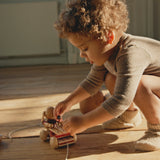 Wooden Bunny Music Pull Toy  Konges Sløjd   