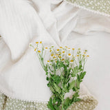 Muslin Blanket- Hearty, Cozy 4-Layered Blanket, Snug and Weighted Feel, Baby Blanket  Bloomere   