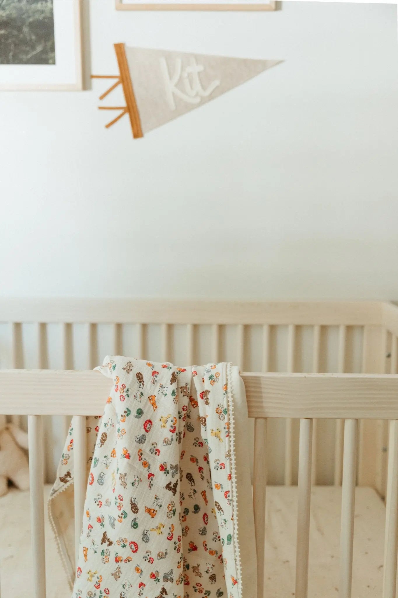 Muslin Blanket- Picnic Compact Roll-Up Design, Pad, Blanket, and Pillow in One  Bloomere   