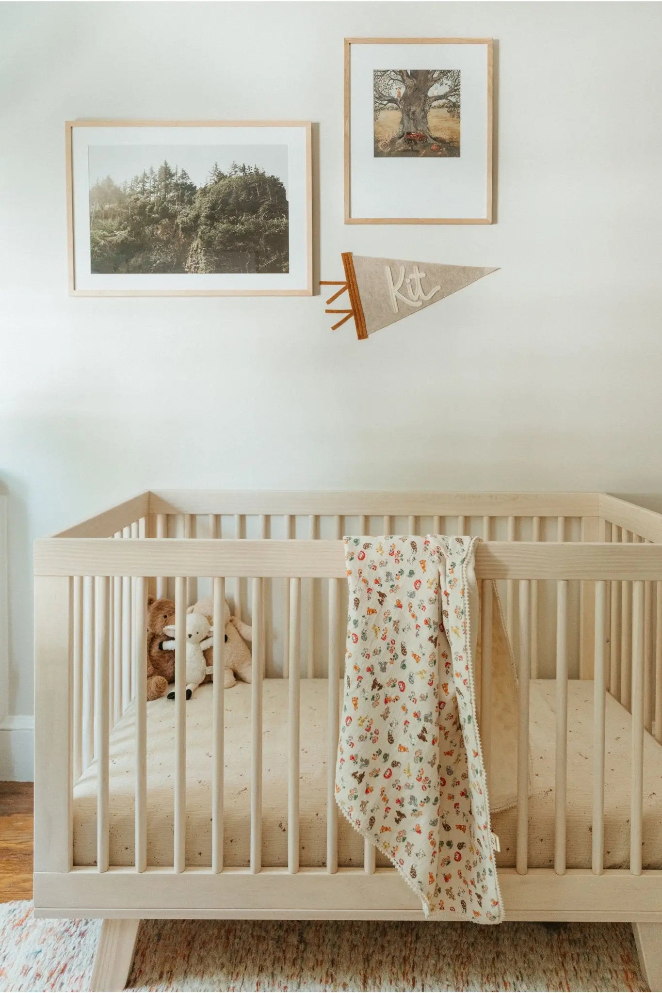 Muslin Blanket- Picnic Compact Roll-Up Design, Pad, Blanket, and Pillow in One  Bloomere   