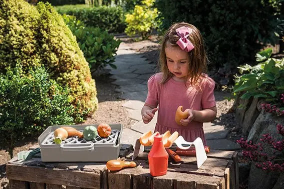 Outdoor Garden Grill Set, BBQ Playset, Pretend Play, Play Kitchen Toy, Kids Gift  Dantoy   