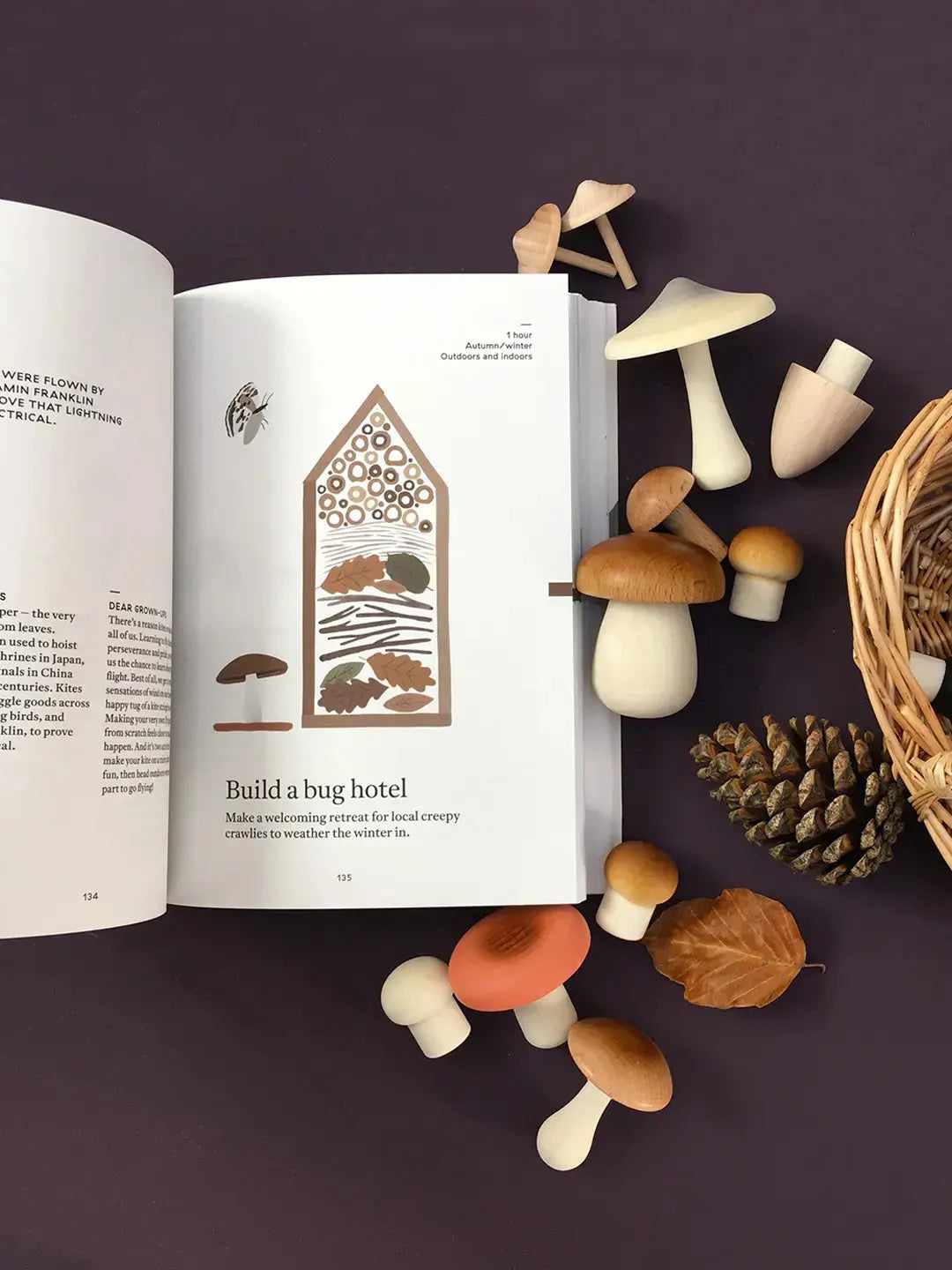 The Nature Of Play Book, Playful Inspiration  Fanny and Alexander   