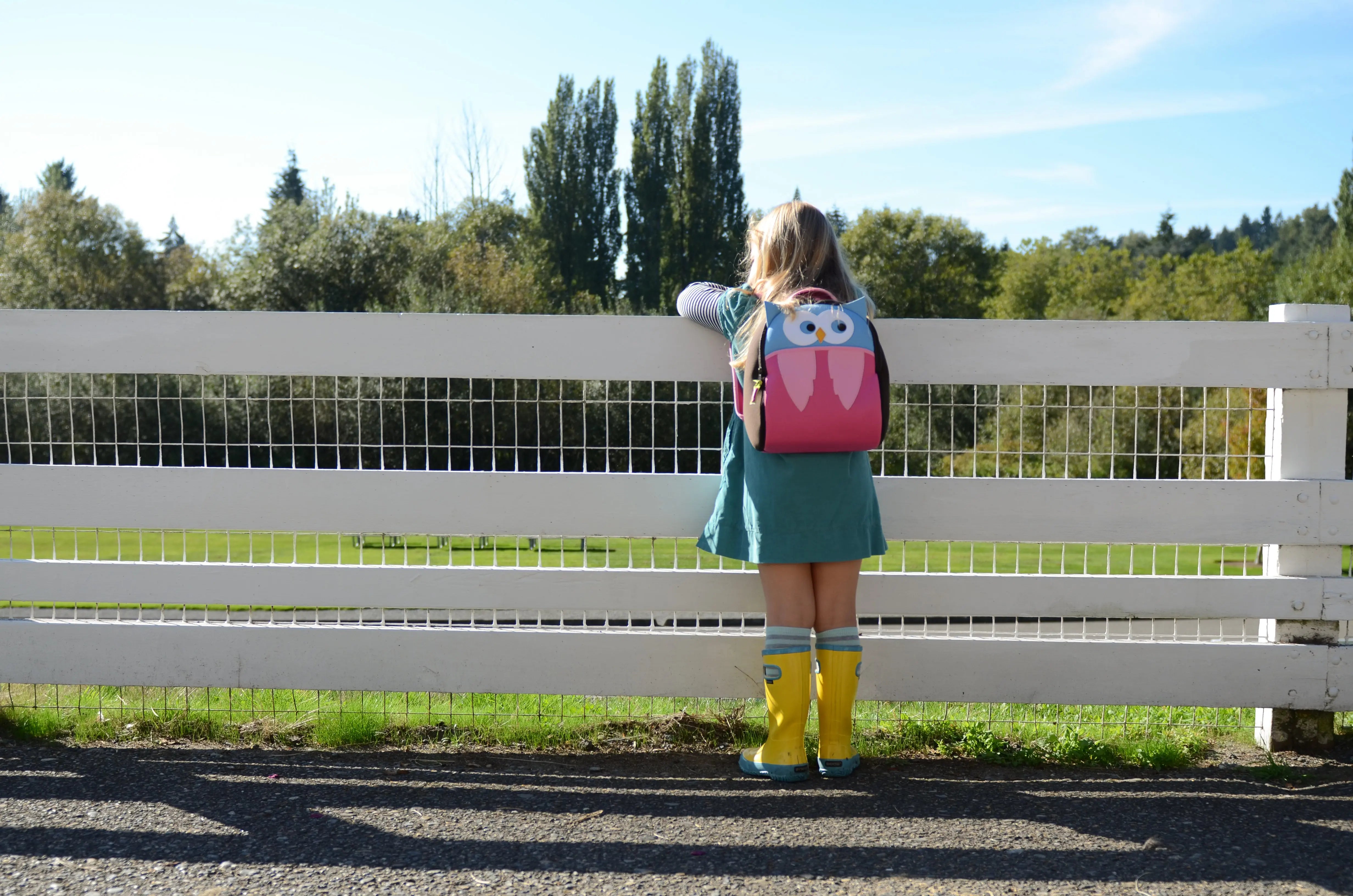 Hoot Owl kids Backpack, Brown and Pink, Size 3-6Y,Safety Harnes Preschool Backpack Dabbawalla   