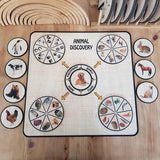 Activity Wheel  Rock-A-Toy   