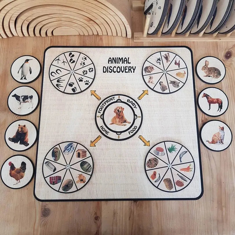 Activity Wheel  Rock-A-Toy   