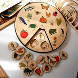 Board Life Cycle  Rock-A-Toy   