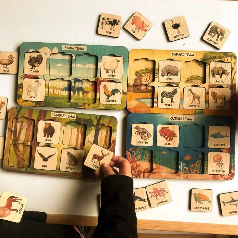 Complete the Animals  Rock-A-Toy   