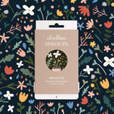 Scrollino Sprouts - Arugula Plant Gardening Kit  Scrollino   