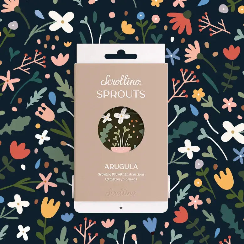 Scrollino Sprouts - Arugula Plant Gardening Kit  Scrollino   