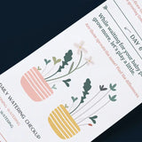 Scrollino Sprouts - Arugula Plant Gardening Kit  Scrollino   