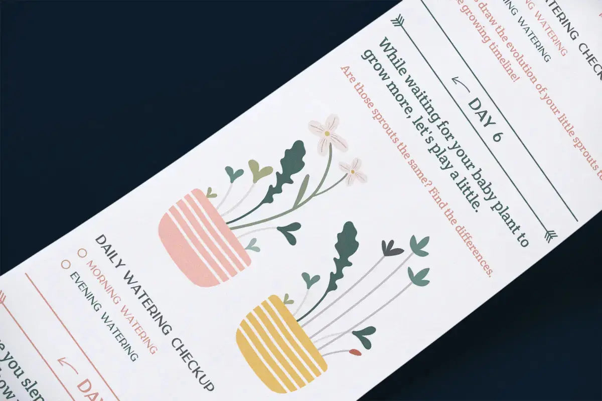 Scrollino Sprouts - Arugula Plant Gardening Kit  Scrollino   