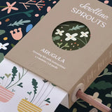 Scrollino Sprouts - Arugula Plant Gardening Kit  Scrollino   