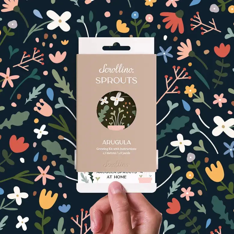 Scrollino Sprouts - Arugula Plant Gardening Kit  Scrollino   