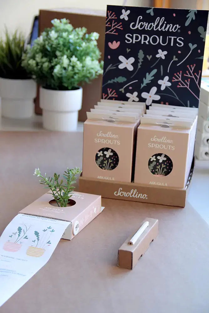 Scrollino Sprouts - Arugula Plant Gardening Kit  Scrollino   