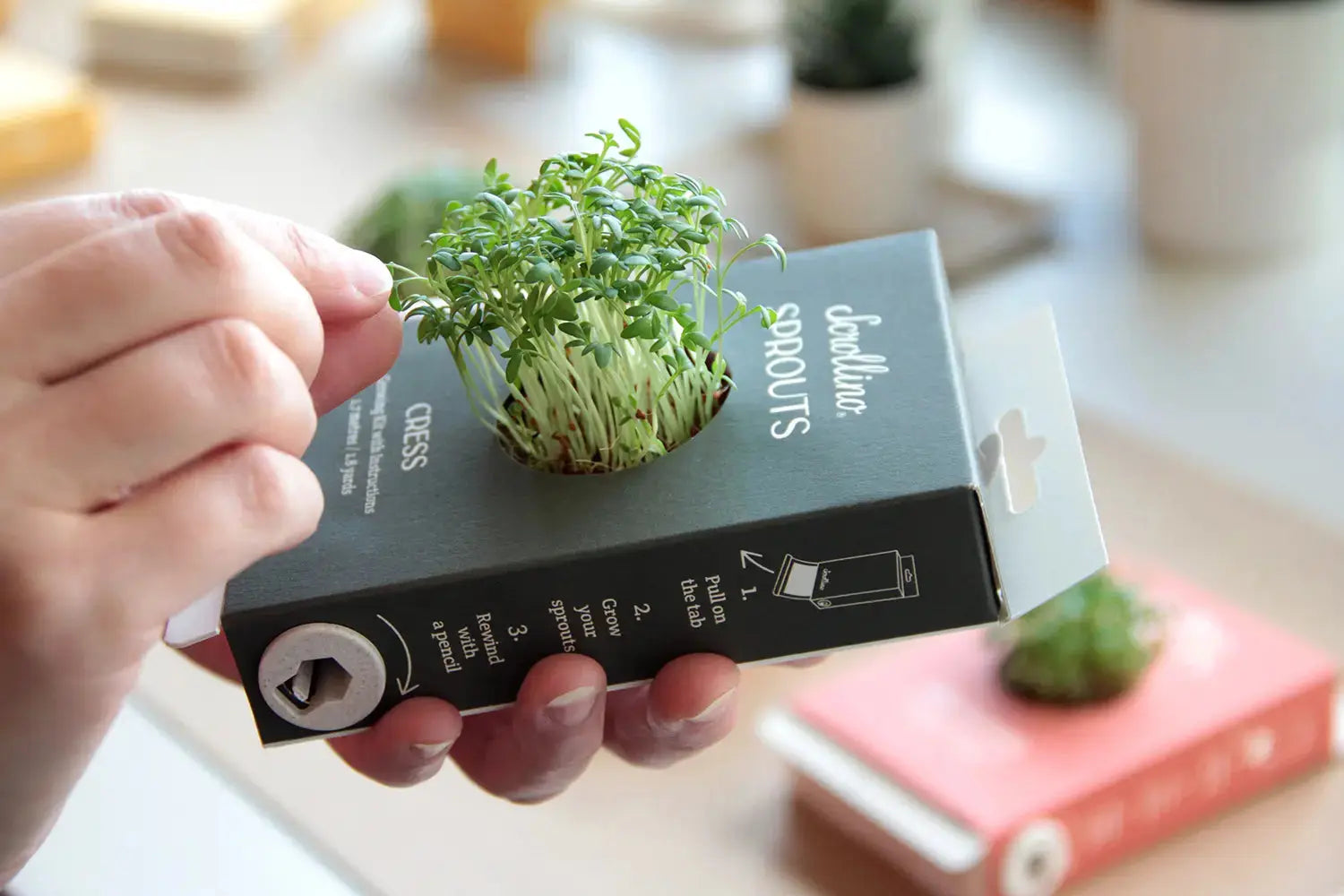 Scrollino Sprouts - Cress Plant Gardening Kit  Scrollino   