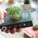 Scrollino Sprouts - Cress Plant Gardening Kit  Scrollino   
