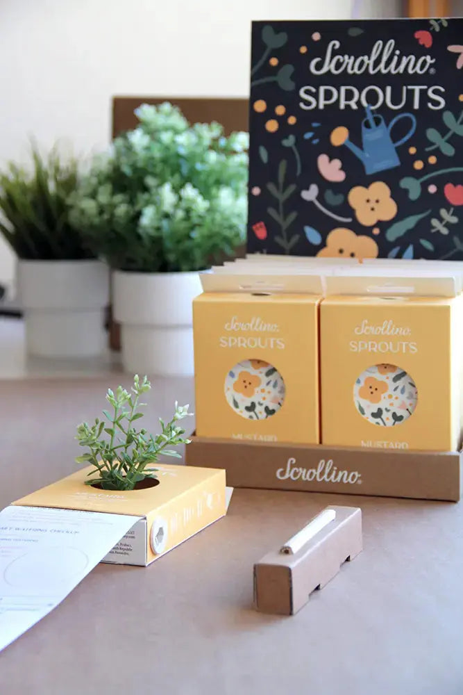 Scrollino Sprouts - Mustard Plant Gardening Kit, Indoor Gardening  Scrollino   