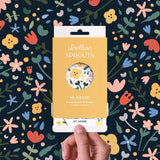 Scrollino Sprouts - Mustard Plant Gardening Kit, Indoor Gardening  Scrollino   