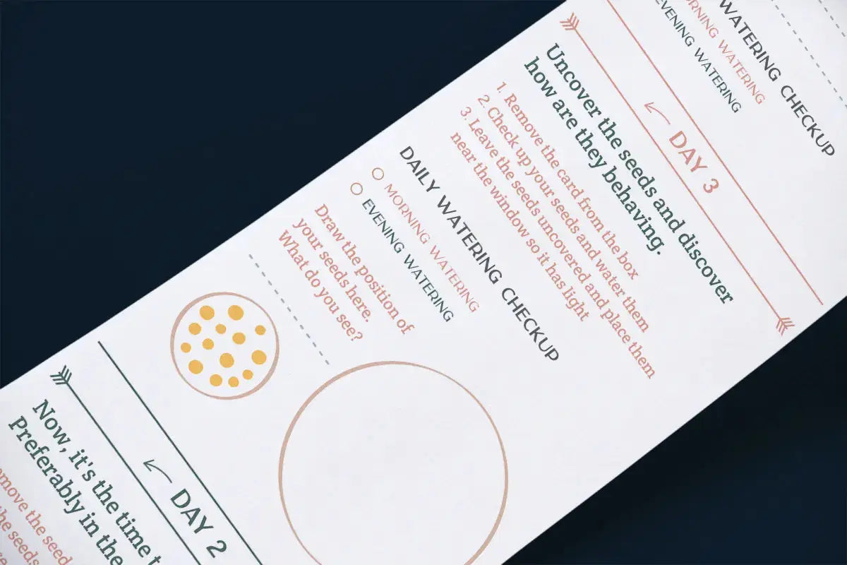 Scrollino Sprouts - Mustard Plant Gardening Kit, Indoor Gardening  Scrollino   