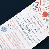 Scrollino Sprouts - Radish Plant Gardening Kit  Scrollino   