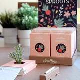 Scrollino Sprouts - Radish Plant Gardening Kit  Scrollino   