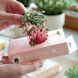 Scrollino Sprouts - Radish Plant Gardening Kit  Scrollino   