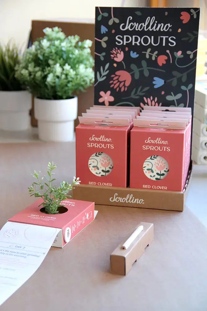 Scrollino Sprouts - Red Clover Plant Gardening Kit  Scrollino   
