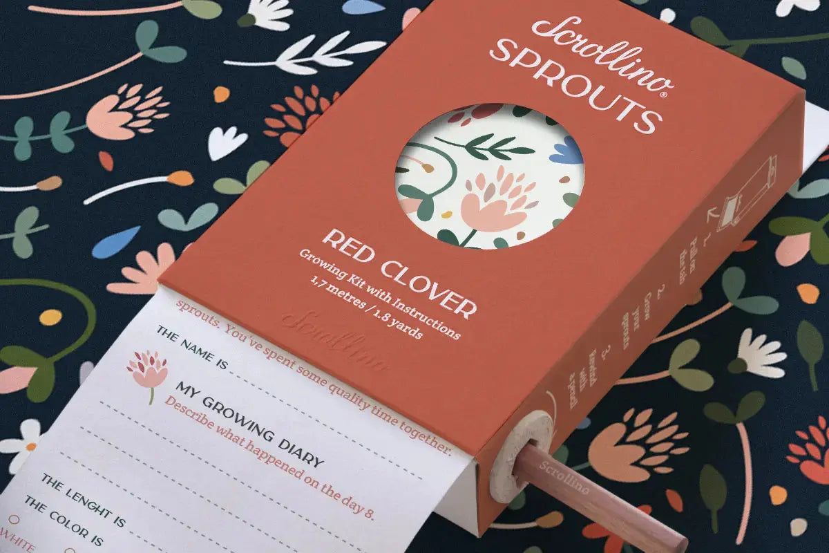 Scrollino Sprouts - Red Clover Plant Gardening Kit  Scrollino   