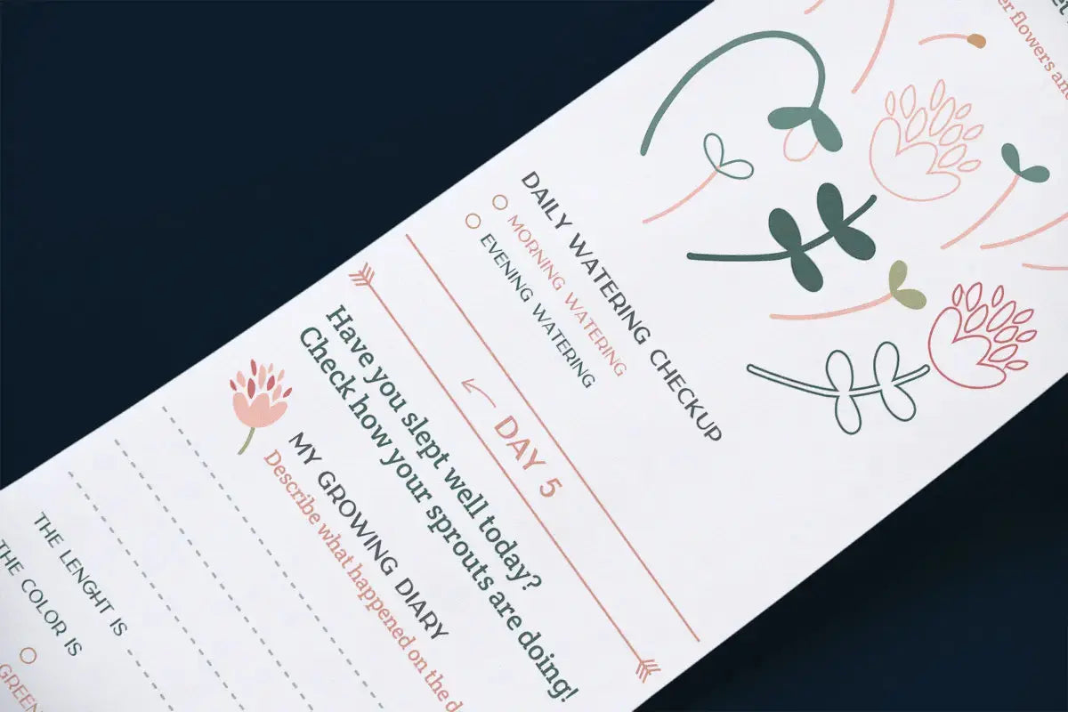 Scrollino Sprouts - Red Clover Plant Gardening Kit  Scrollino   